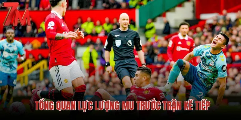 tong-quan-luc-luong-mu-truoc-tran-ke-tiep